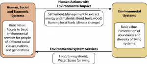 Loop Diagram of Socio-ecological systems